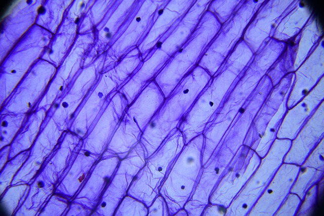 drug discovery pharmaceutical AI molecular biology chemistry lab